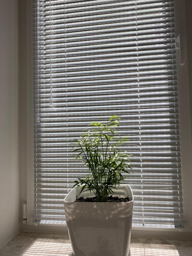 Apartment Bejler
